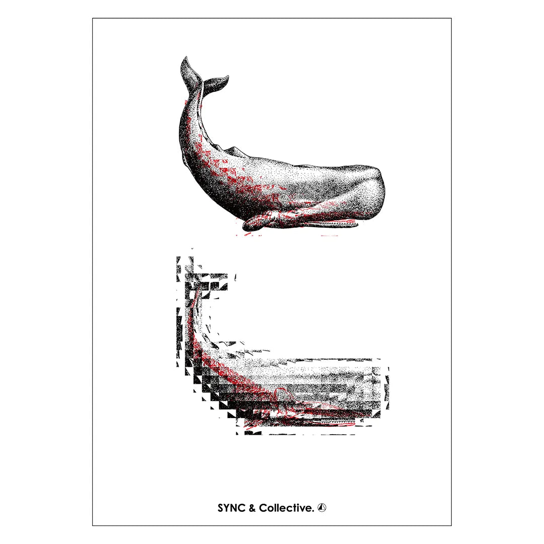 Life & Death N.8-CACHALOT