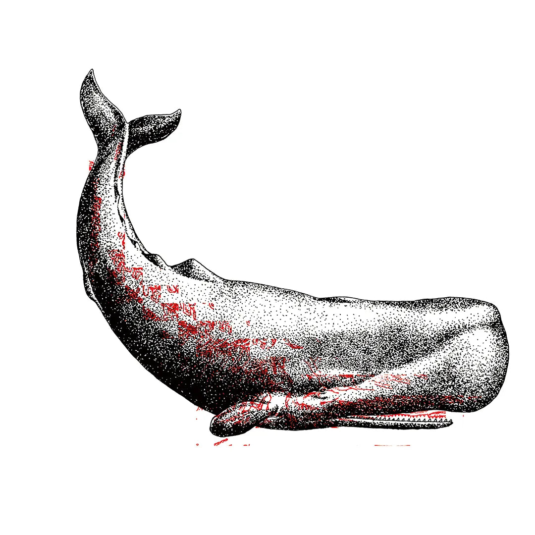 Life & Death N.8-CACHALOT