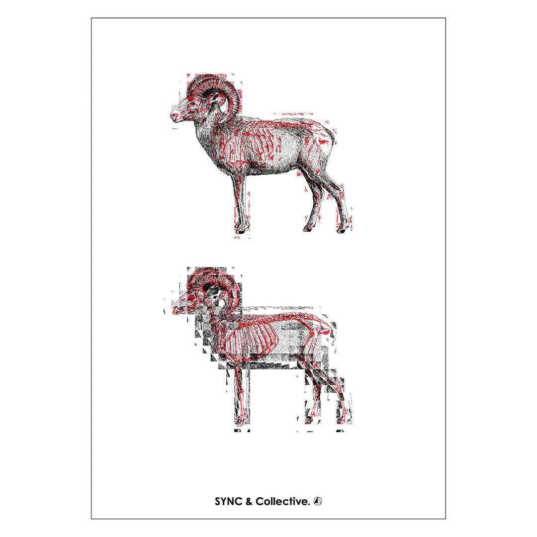 Life & Death N.6-GOAT