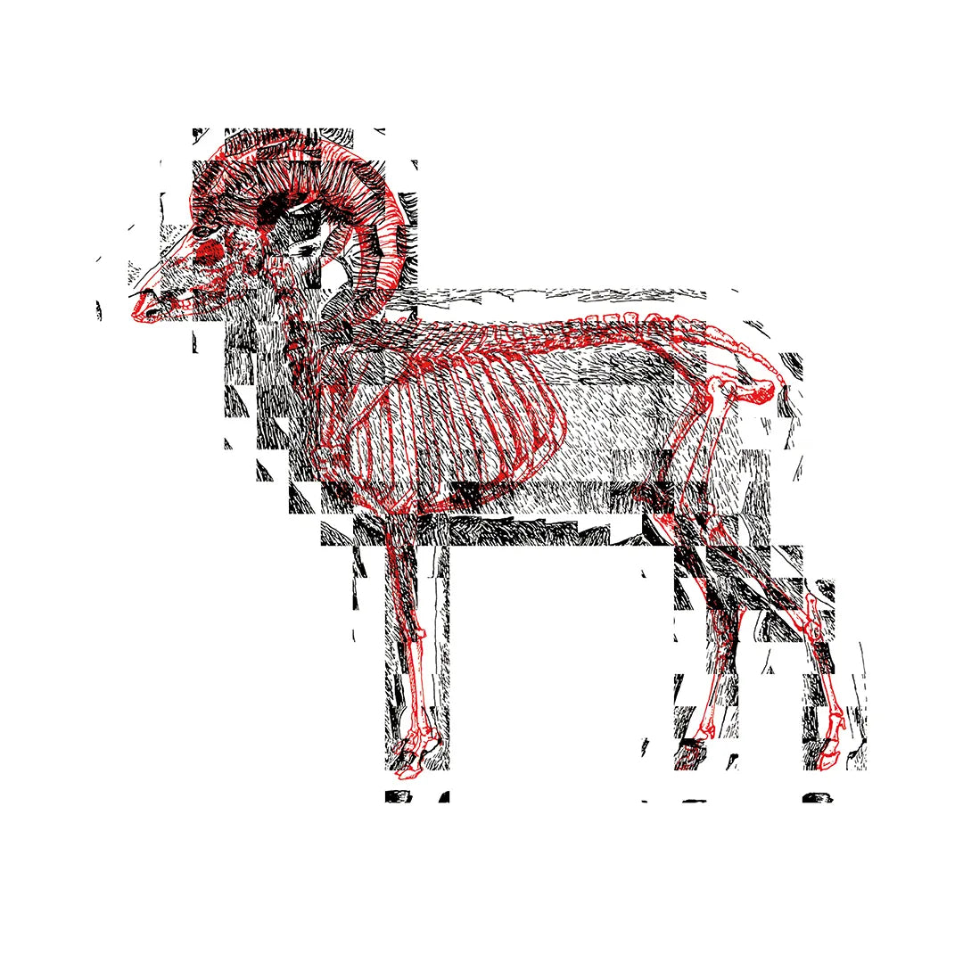 SYNC&Collective.:Life & Death N.6-GOAT シンク&コレクティブ アートポスター