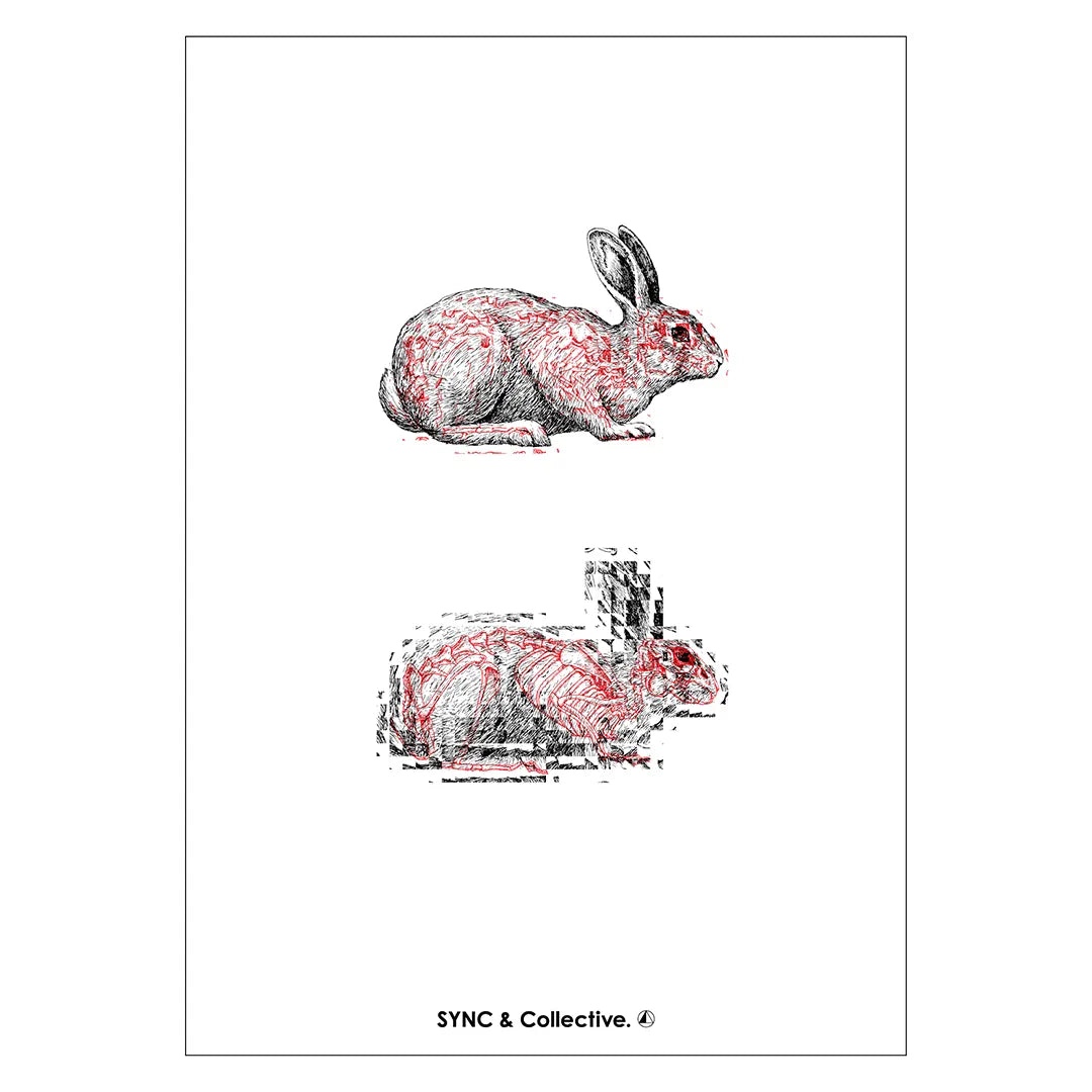 Life & Death N.5-HARE