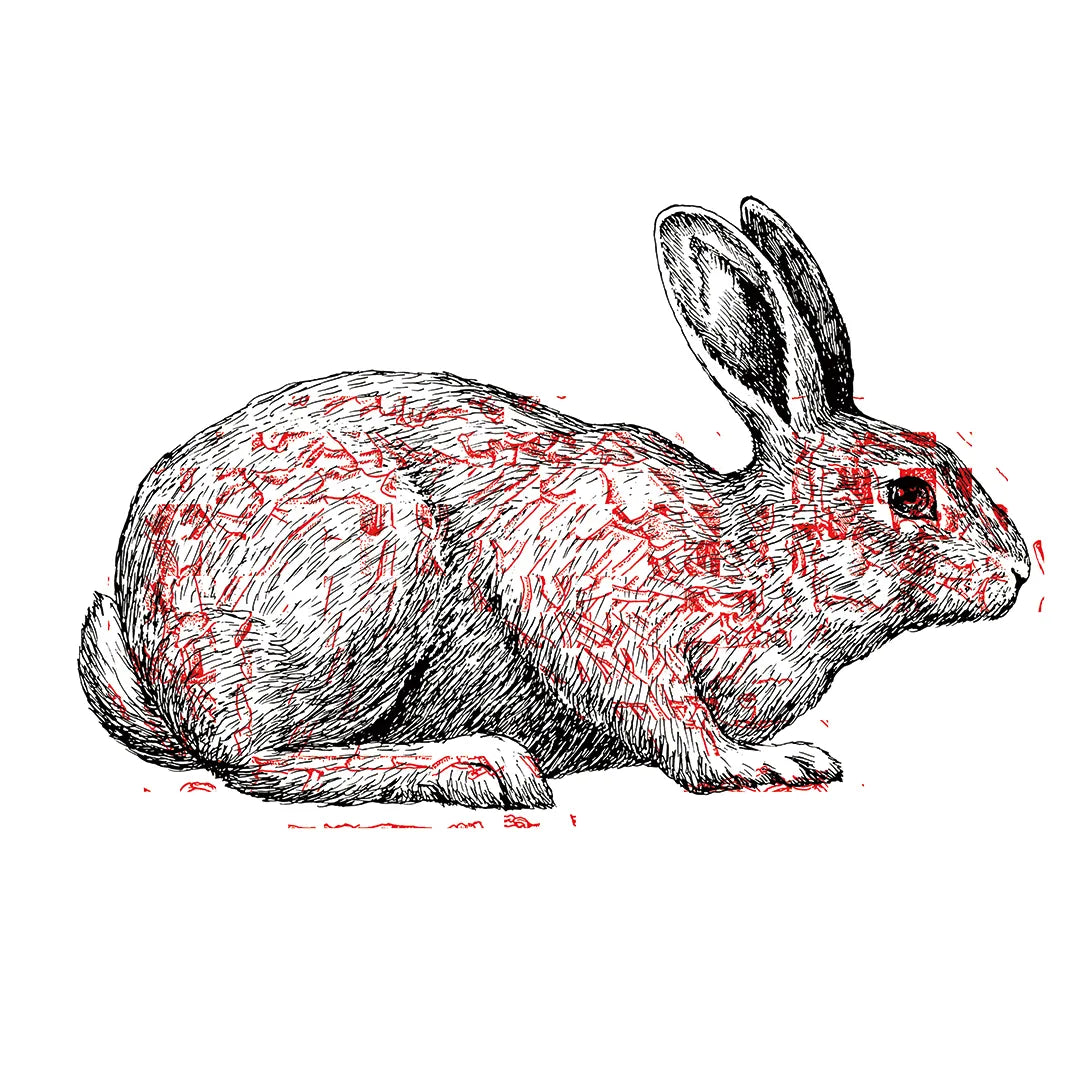 Life & Death N.5-HARE