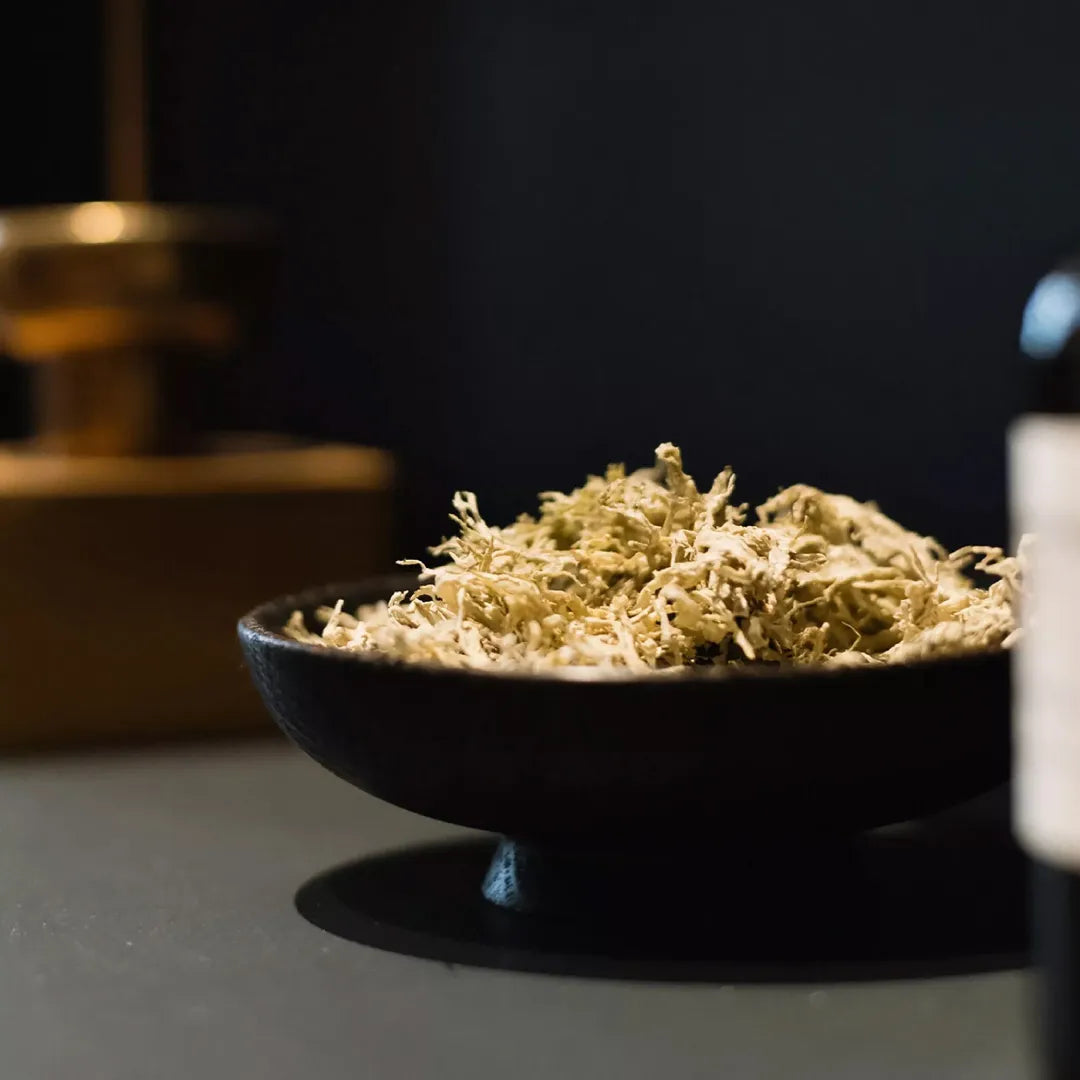 Perfumer H:Pot Pourri & Oil 100ml/MOSS パフューマーH ポプリ&オイル100ml/モス