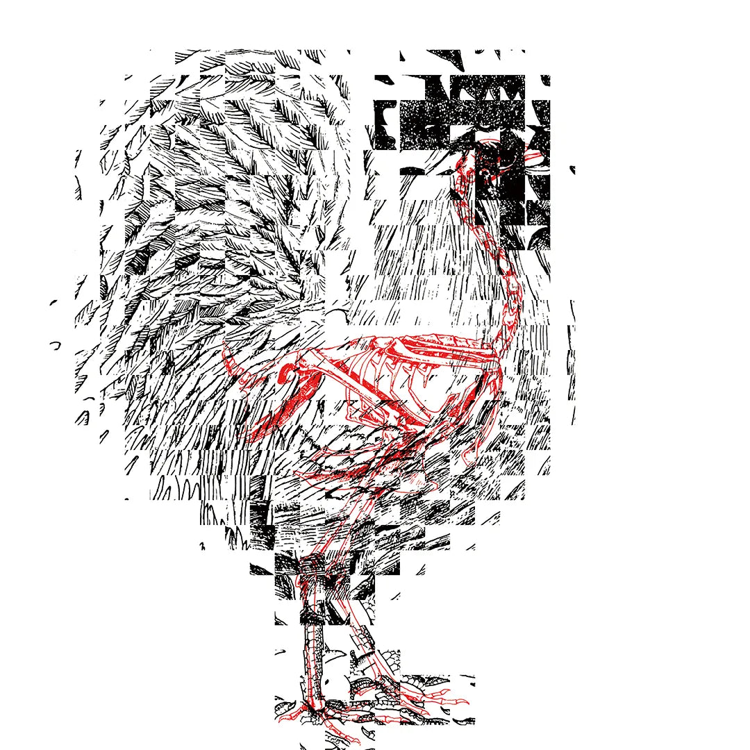 SYNC&Collective.:Life & Death N.3-ROOSTER シンク&コレクティブ アートポスター