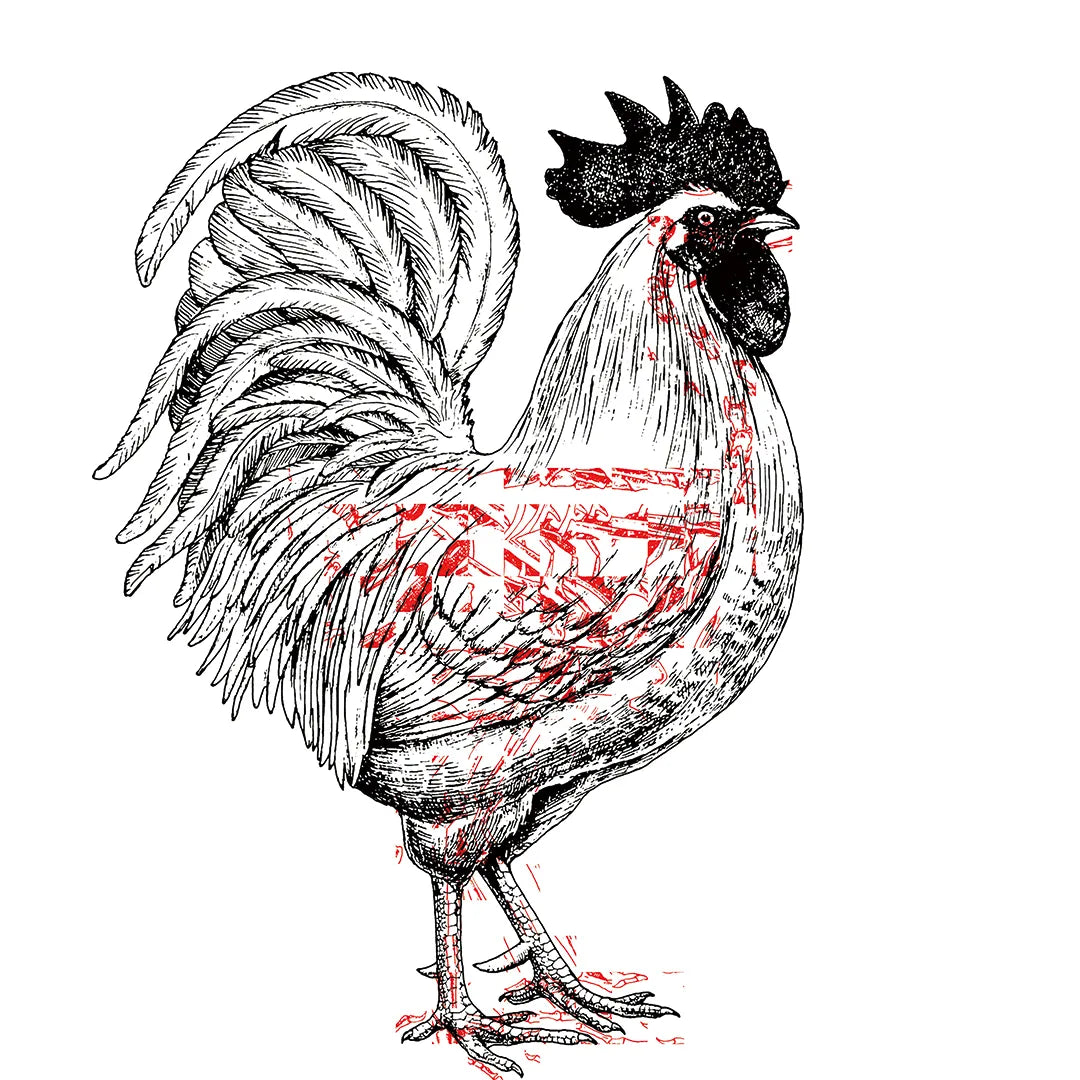 Life & Death N.3-ROOSTER