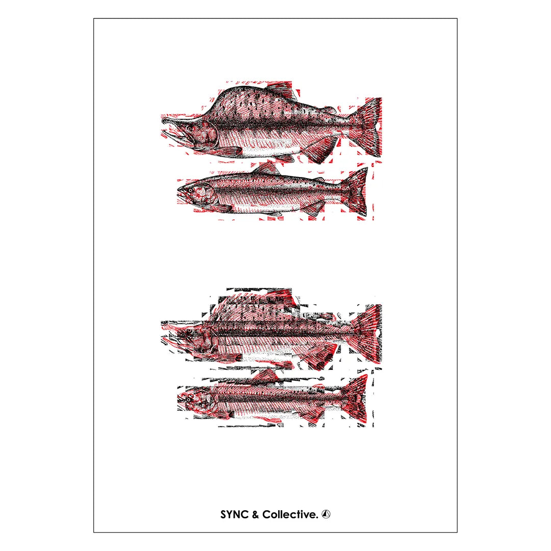 Life & Death N.7-SALMON