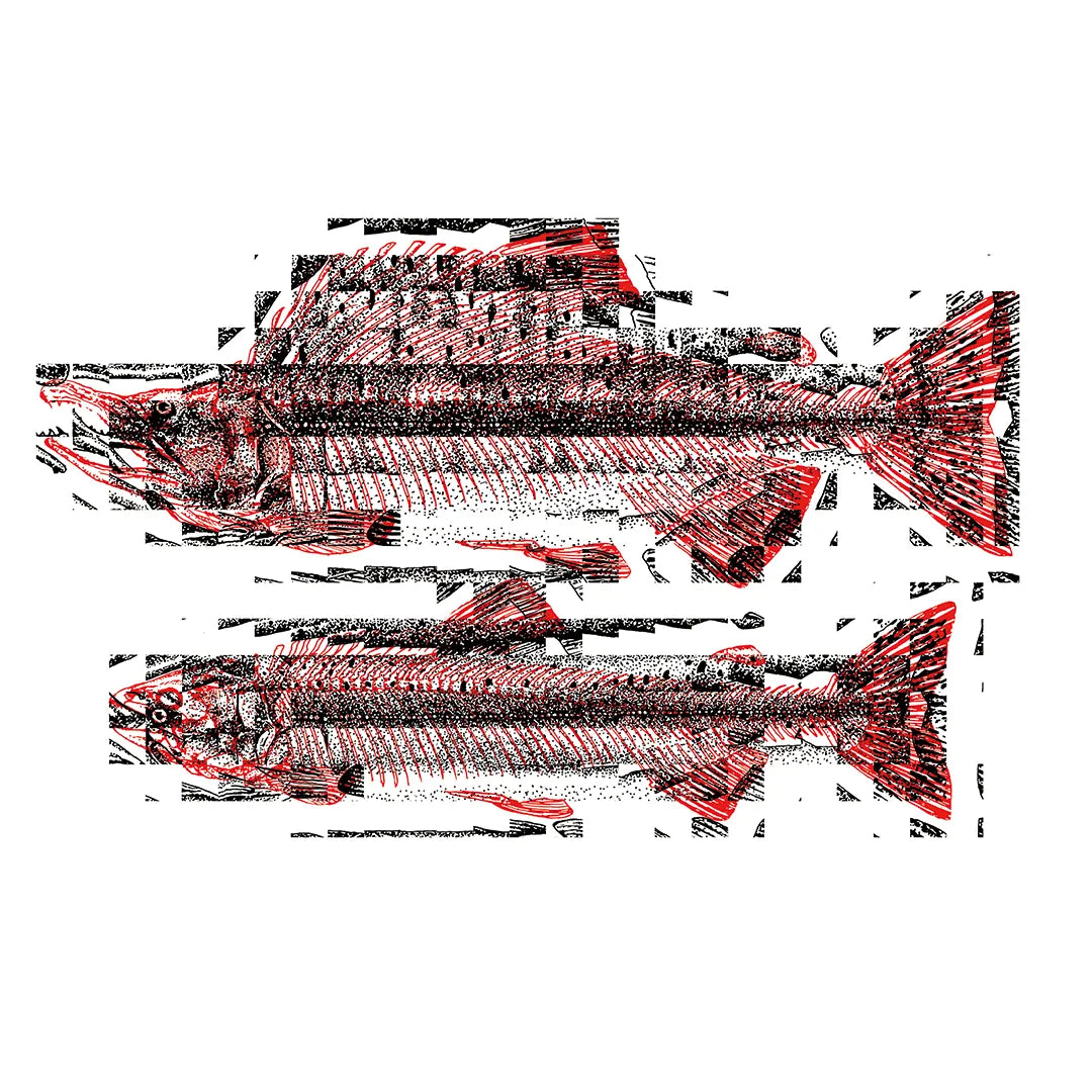 SYNC&Collective.:Life & Death N.7-SALMON シンク&コレクティブ アートポスター