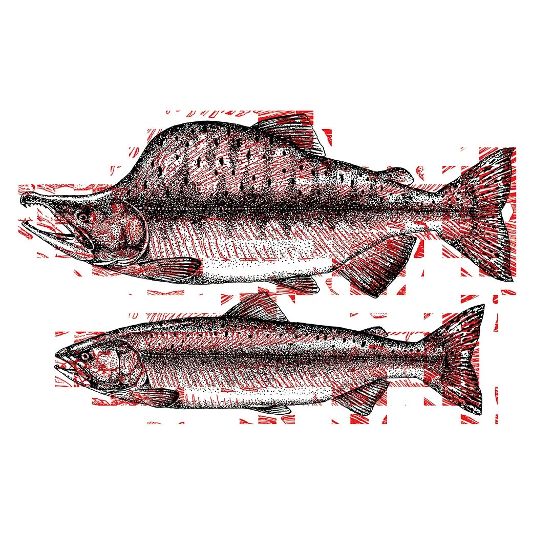 Life & Death N.7-SALMON