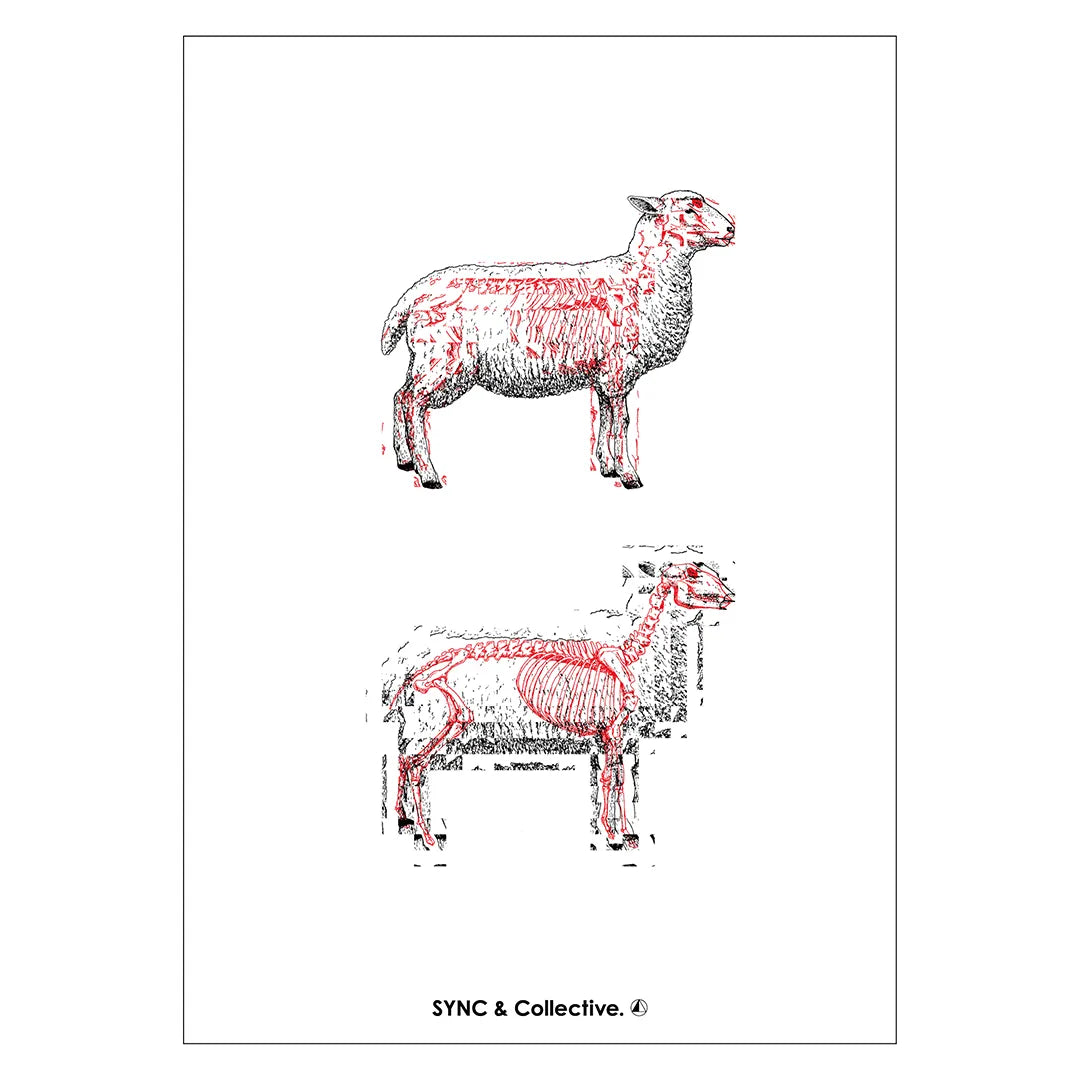 Life & Death N.4-SHEEP
