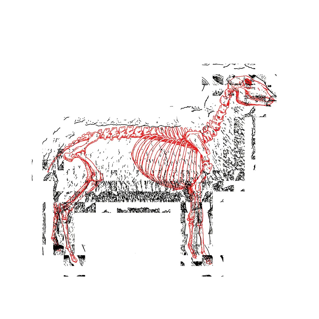 SYNC&Collective.:Life & Death N.4-SHEEP シンク&コレクティブ アートポスター