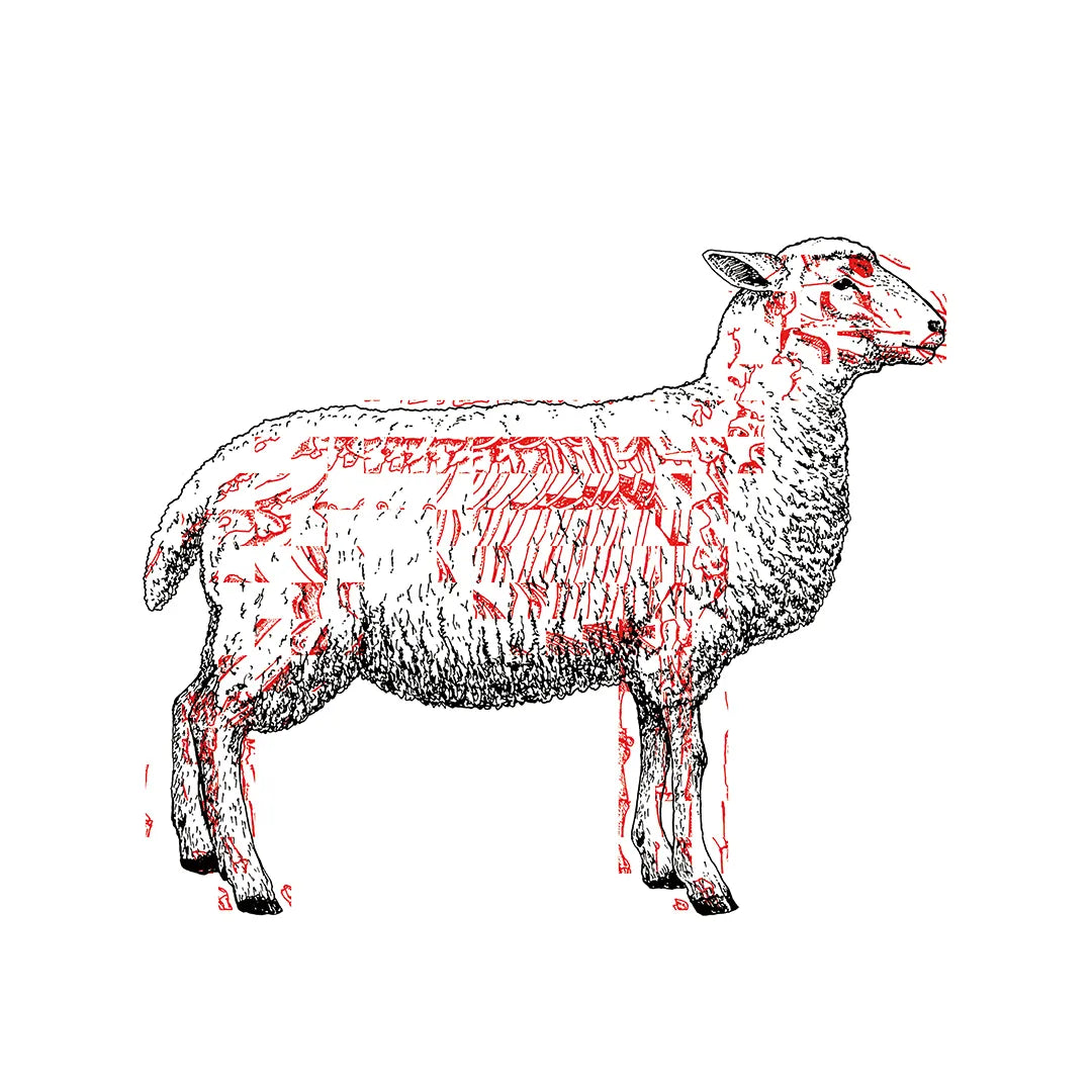 Life & Death N.4-SHEEP