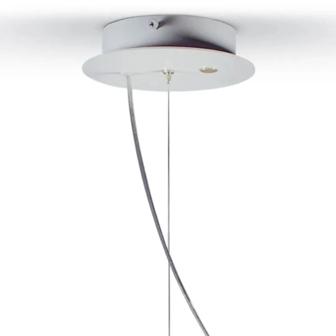 LLADRO:Belle de Nuit-Pendant lamp MLT リヤドロ ペンダントランプ
